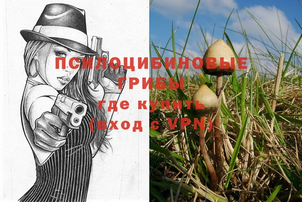 прущая мука Алзамай