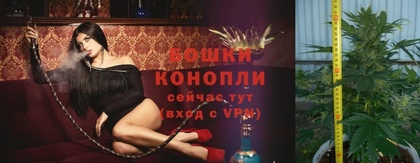 крисы Приозерск