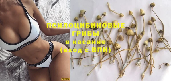 прущая мука Алзамай