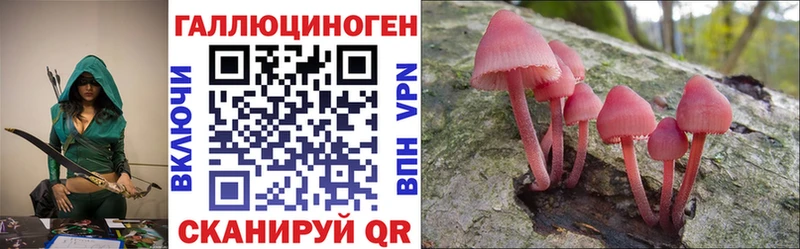 Псилоцибиновые грибы GOLDEN TEACHER  кракен зеркало  Гуково 